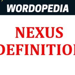 Nexus definition